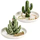 ceramic hand ring holder